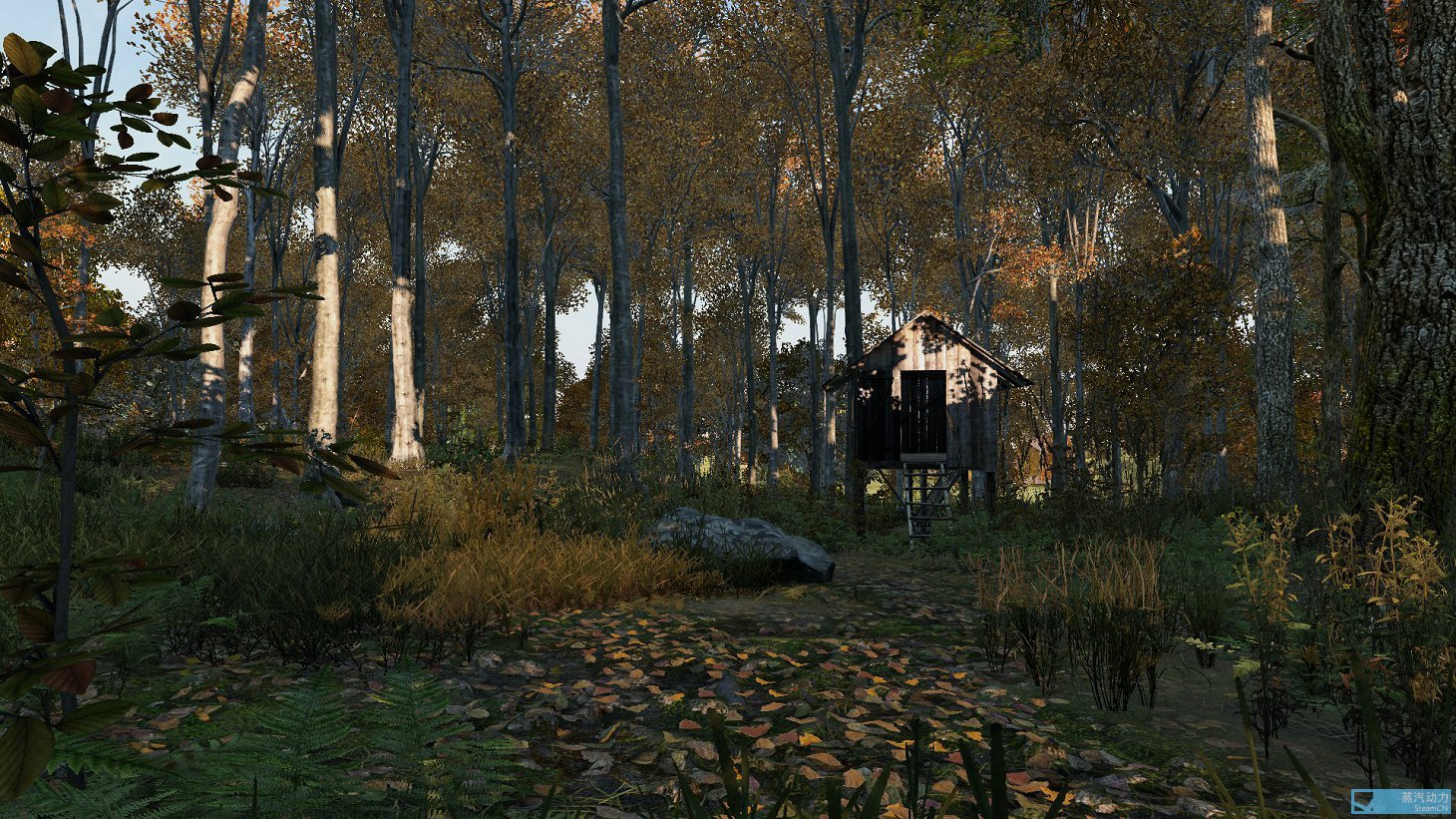 【dayz】现状报告 - 2/21/2017 - 环境美工前后对比,0.62更新