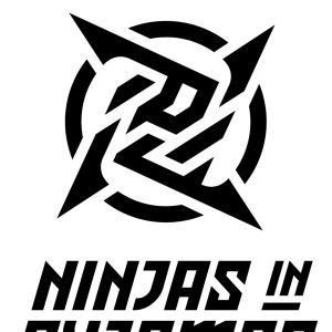 600px-Ninjas_in_Pyjamas_2021.jpg